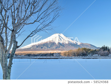 Snow Flower City Snow Flower City 58524368