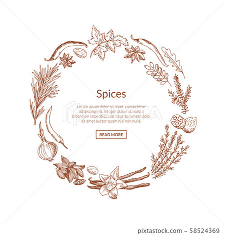 Vector hand drawn herbs and spices - Stock Illustration [58524369] - PIXTA