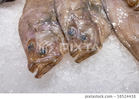 Fishes in a market in town Palamos in Spain Fishes in a market in town Palamos in Spain 58524438