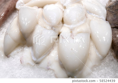 Fishes in a market in town Palamos in Spain Fishes in a market in town Palamos in Spain 58524439