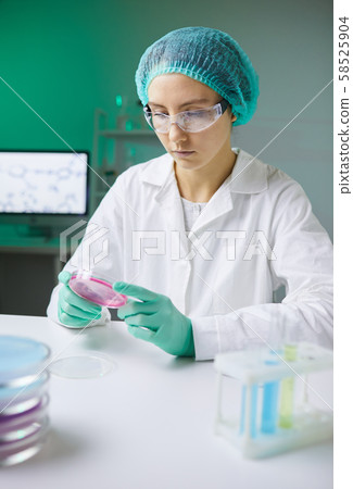 Female Technician in Pharmaceutical Laboratory Female Technician in Pharmaceutical Laboratory 58525904