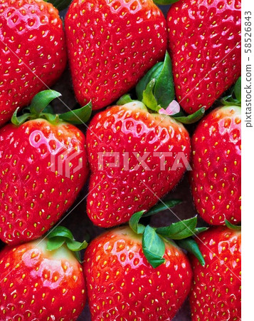 Korean fresh organic fruit strawberry 58526843