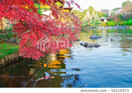 秋園秋葉之靜美 58526973