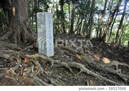 Kanto Fureai Road, near Masamaru Pass 58527008