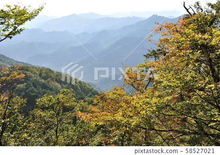 Oku Musashi Autumn leaves of Izugatake 58527021