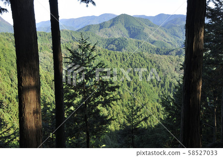 從伊豆岳森林眺望正丸山的景色 58527033