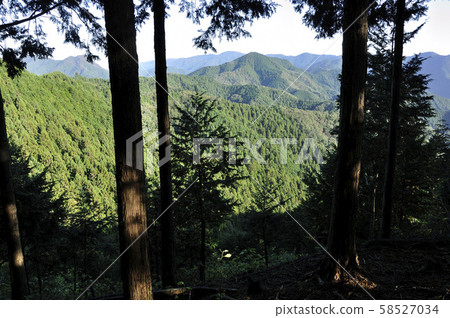 從伊豆岳森林眺望正丸山的景色 58527034