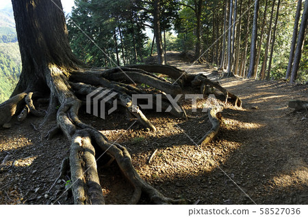 Oku Musashi Izugatake mountain path 58527036