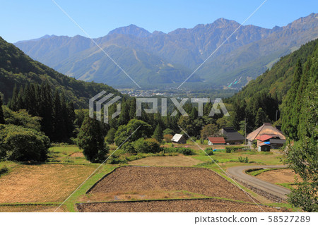 Hakuba Village Ao no Aki, Northern Alps seen from rice terraces 58527289