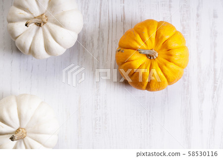 orange pumpkin on white wooden background orange pumpkin on white wooden background 58530116
