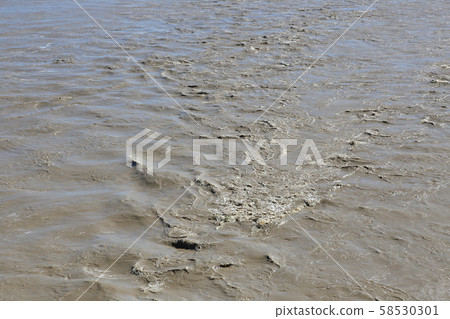 River inundation, flood image 58530301