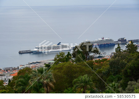 Portuguese territory, Madeira, Funchal, cruise ship 58530575