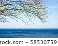 Lake Ontario 58530759