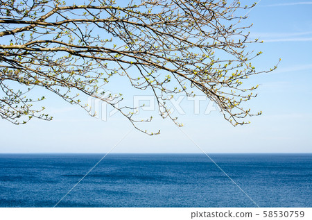 Lake Ontario 58530759