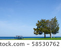 Lake Ontario 58530762