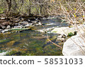 Upstate New York Salmon River 58531033