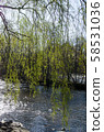 Upstate New York Salmon River 58531036