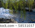 Upstate New York Salmon River 58531037