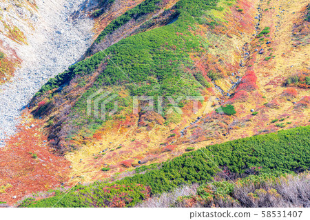 Autumn Murodo superb view colored leaves [Toyama Prefecture] 58531407