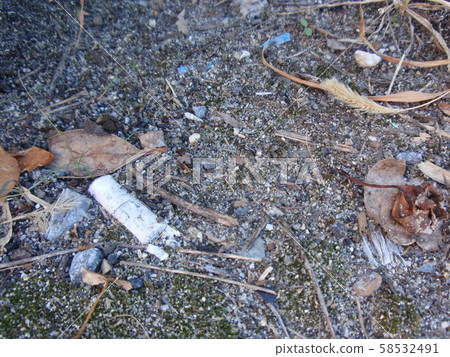 Tobacco litter litter Tobacco litter litter 58532491