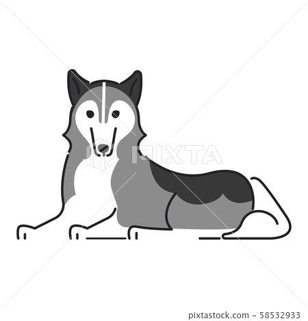 狗的姿勢面部表情1 Huse西伯利亞雪橇犬 58532933