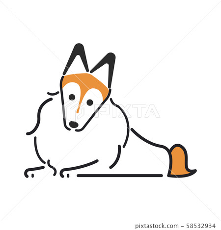Dog Poses Facial Expression 1 Fuse Shetland Sheepdog 58532934