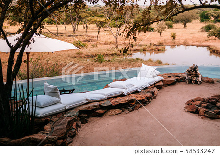Swimming pool and African Safari lodge terrace in Serengeti Savanna forest 58533247