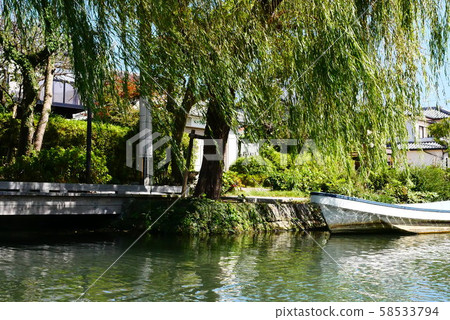 Yanagawa 58533794