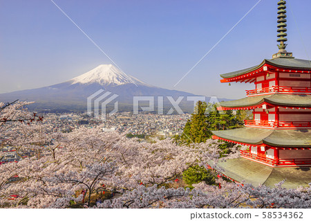 Japan Spring Japan Spring 58534362