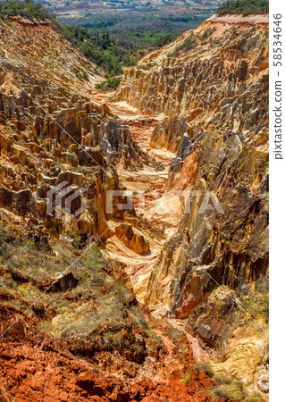 Ankarokaroka canyon Ankarafantsika, Madagascar 58534646