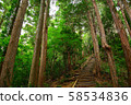 Trail  58534836