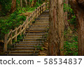 Trail  58534837
