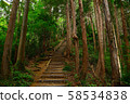 Trail  58534838