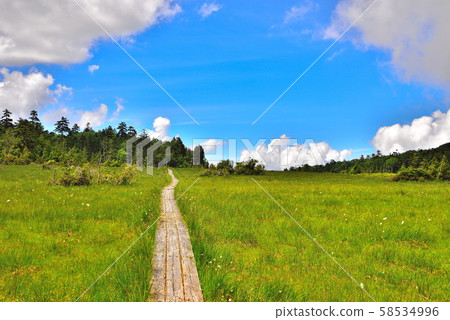 Kinuma山 Kinuma山 58534996