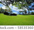 草坪 58535360