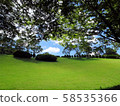 草坪 58535366