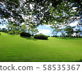草坪 58535367