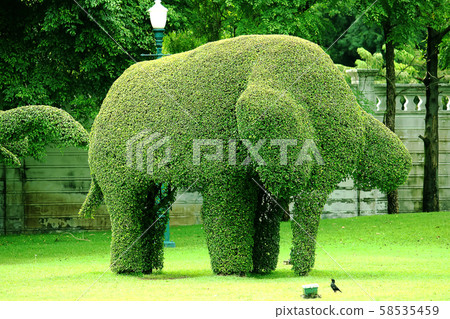 The tree is trimmed to the shape of an elephant. 58535459