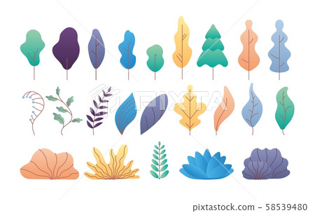 Flat minimal leaves. Simple deciduous and coniferous trees, branches and bushes. Trendy flat plant 58539480