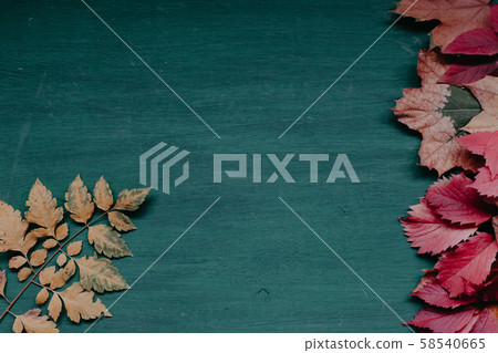 yellow and red leaves autumn green background 58540665