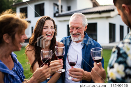Portrait of people with wine outdoors on family garden barbecue. 58540666