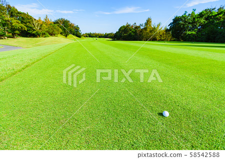 Golf golf ball ball fairway round blue sky Golf golf ball ball fairway round blue sky 58542588