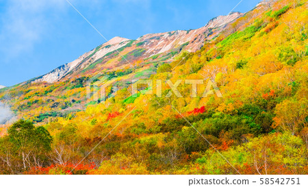 Tsugaike Nature Park (Autumn) Tsugaike Nature Park (Autumn) 58542751