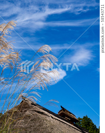 江戶時代,藍天,茅草屋頂和鈴木的大內宿 江戶時代,藍天,茅草屋頂和鈴木的大內宿 58543711