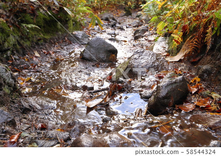 Mountain trail after rain Mountain trail after rain 58544324