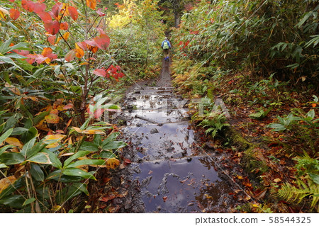 Aomori mountain trail 58544325