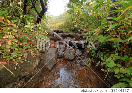 Mountain climbing 58544337