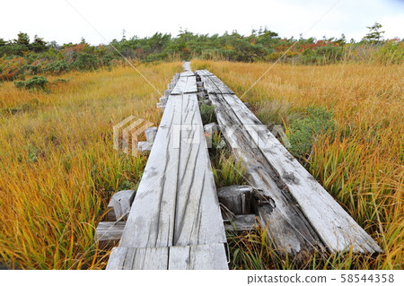 Hiking Hakkoda Hiking Hakkoda 58544358