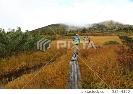 Hakkoda Shimoge 58544360