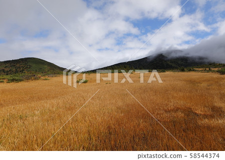 Shimoge Marsh Shimoge Marsh 58544374